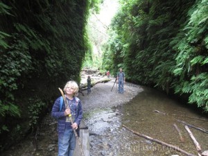 Hiking Fern Canyon