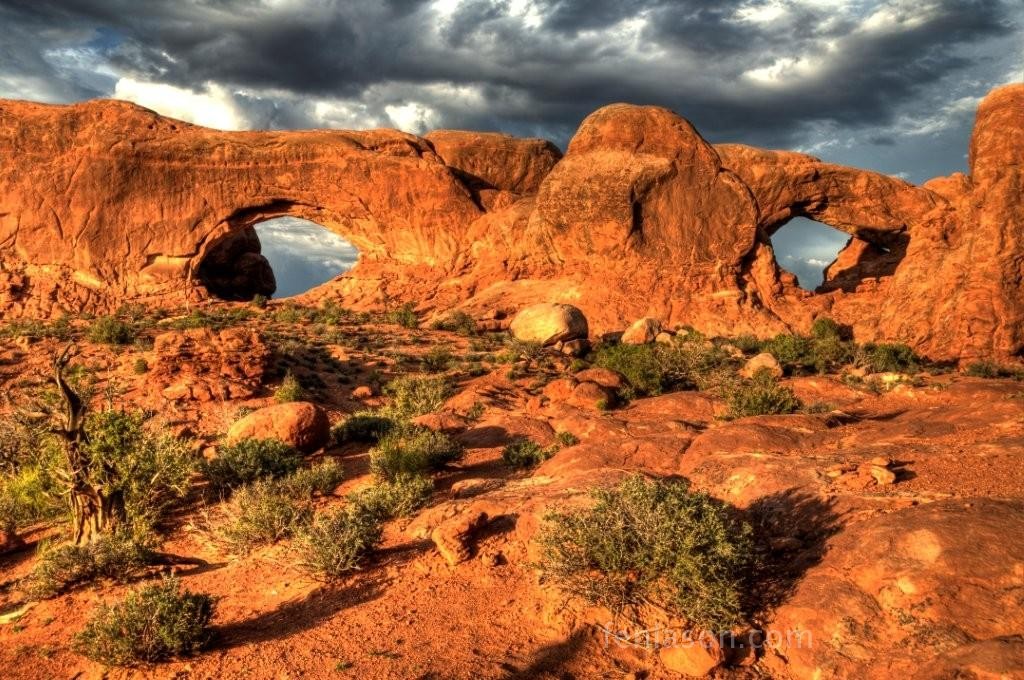 Window Arches