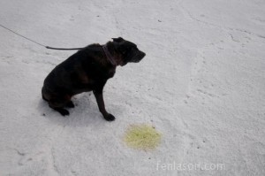 Kaley on Salt Flats