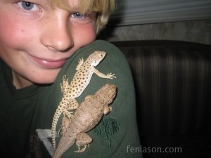 Kid's Moab lizards