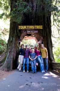 Tour Thru Tree