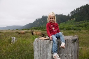 Alyssa watching the Elk