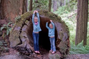 Carlye & Alyssa playing in a Redwood