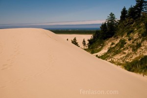 Oregon Sand Dunes with Tree Island on the right and the Pacific Ocean in the background