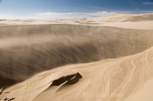 Oregon Sand Dunes National Recreation 
