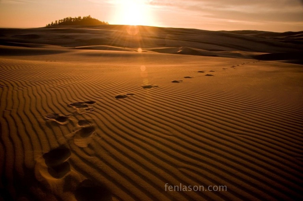 Sunset on the Oregon Sand Dunes