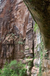 Weeping Rock - Zion