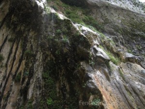 Weeping Rock