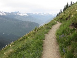 Highline Trail - Glacier National Park