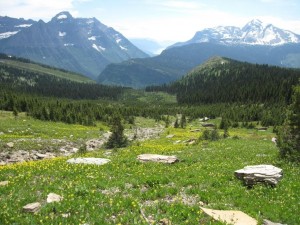 View from Highline Trail