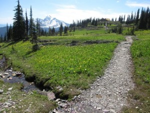 Views from Trail - Chalet