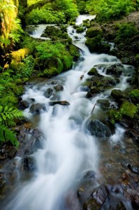 Hiking Wahkeena Falls the the Columbia River overlook