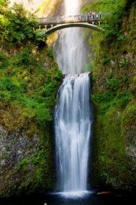 Multnomah Falls - Columbia River Gorge