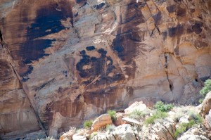 Lizard petroglyphs in Dinosaur National Monument