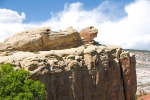 Turtle Rock - Dino National Monument