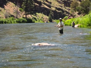 Flyfishing the Green River from the Flaming Gorge UT