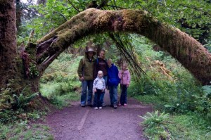 Hoh Rainforest on the Mosses Trail