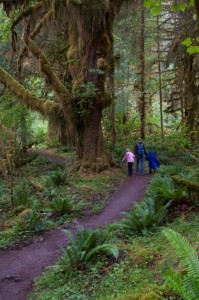 Rochelle, Carlye, & Alyssa on the Hoh River Trail