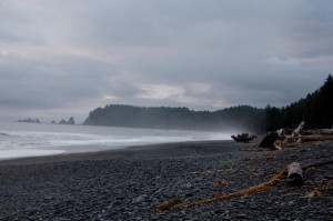 Rialto Beach - Forks Washington