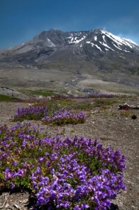 Mount St Helens from the Johnston Ridge Observatory