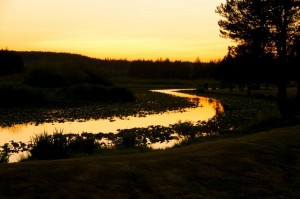 Silver Cove RV Park - Mt St Helens Washington