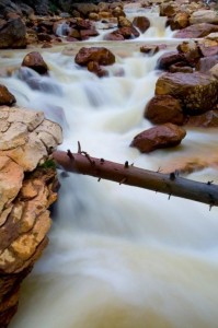 Red Mountain Creek - Ouray Colorado