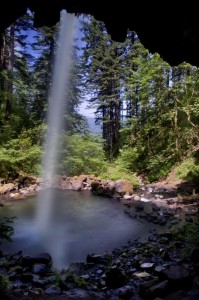 Ponytail Falls from underneath