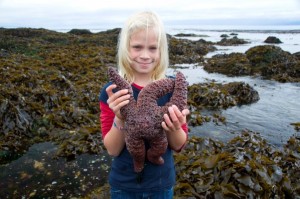 Carlye holding a large starfish