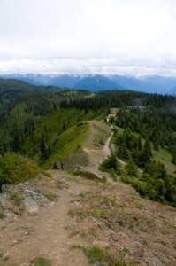 Hiking Hurricane Ridge Trail