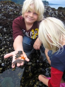 Jordan show off some starfish he collected and released