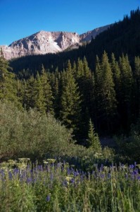 Near Yankee Boy Basin on Camp Bird Road