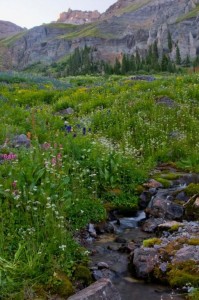 Yankee Boy Basin