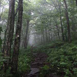 Craggy Gardens (Blue Ridge Parkway)