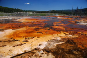 red geyser